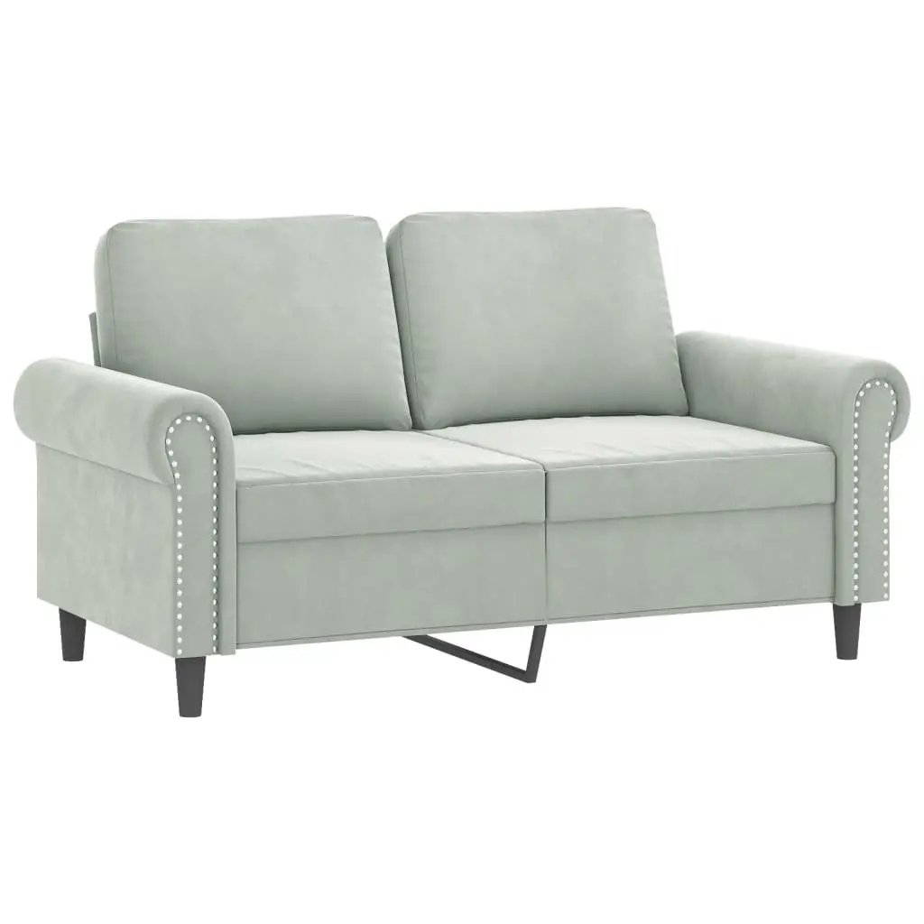 2 Piece Grey Velvet Sofa Set with Cushions