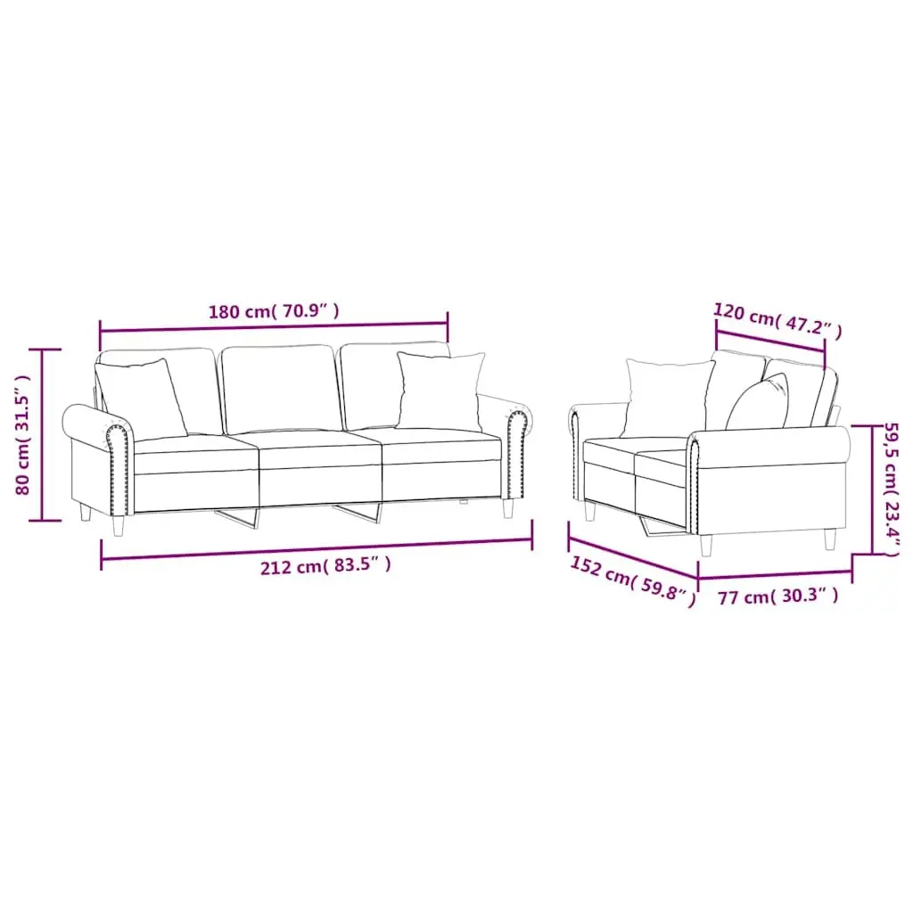 2 Piece Black Velvet Sofa Set with Pillows