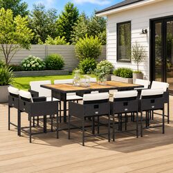 Durable 11 Piece Black Garden Dining Set with Cushions