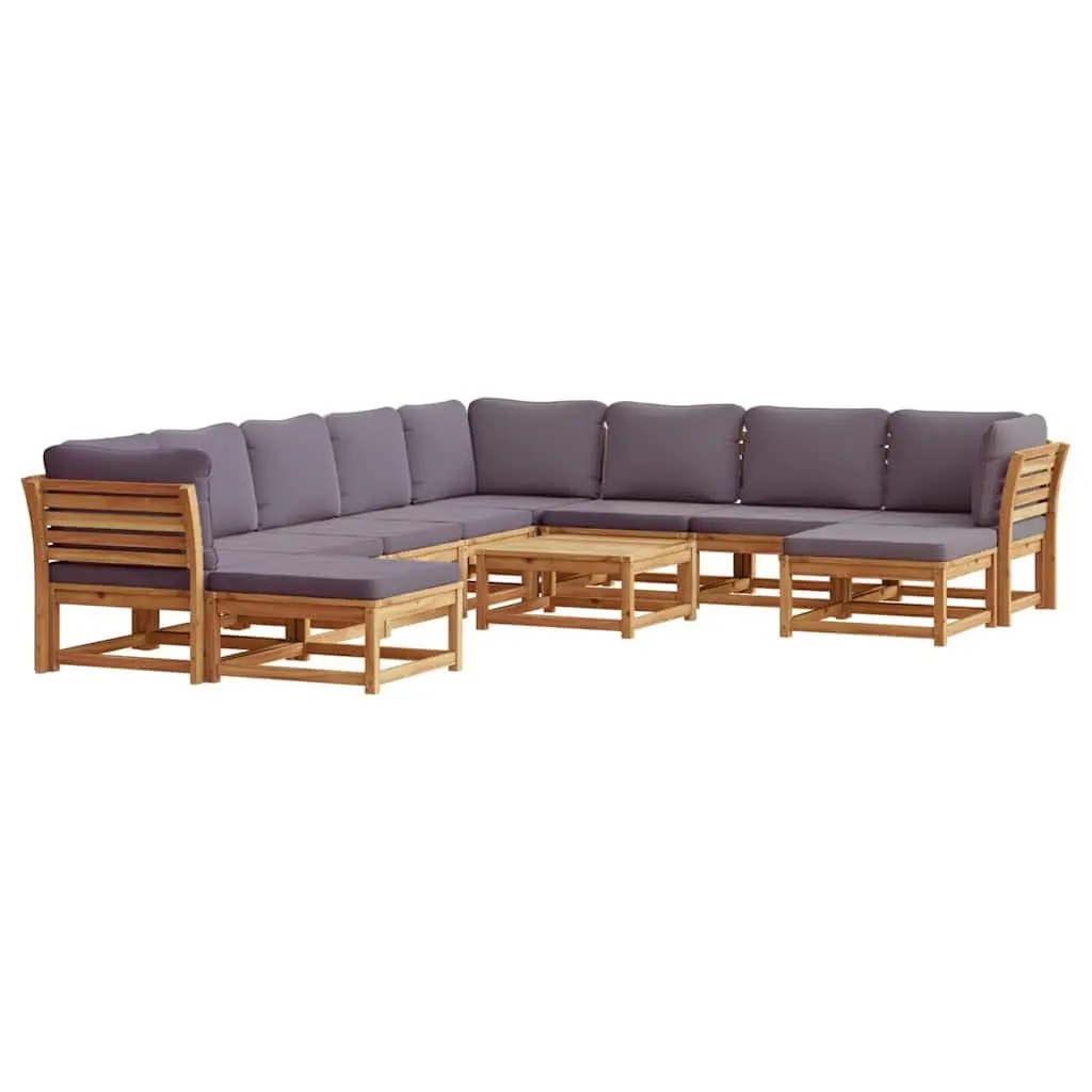 11 Piece Outdoor Sectional Sofa Set with Cushions
