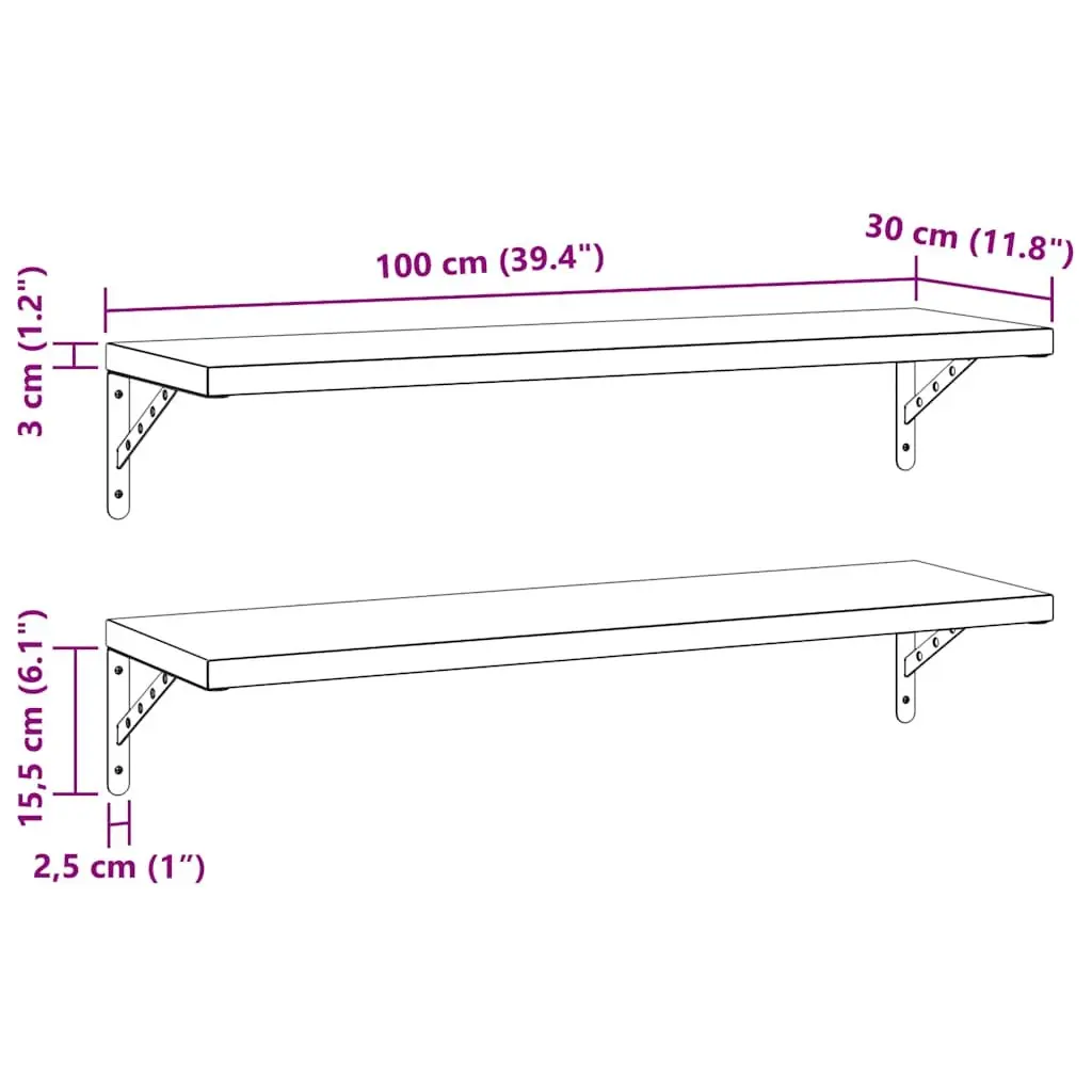 Wall Shelves 2 pcs 100x30 cm Stainless Steel Floating Storage Shelving