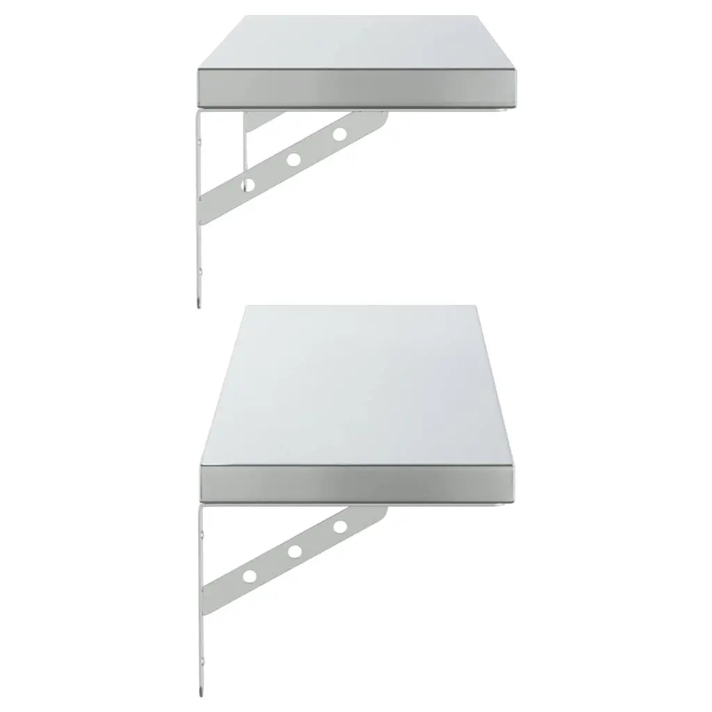 Silver Wall Shelves 2 pcs 100x23.5 cm Floating Storage