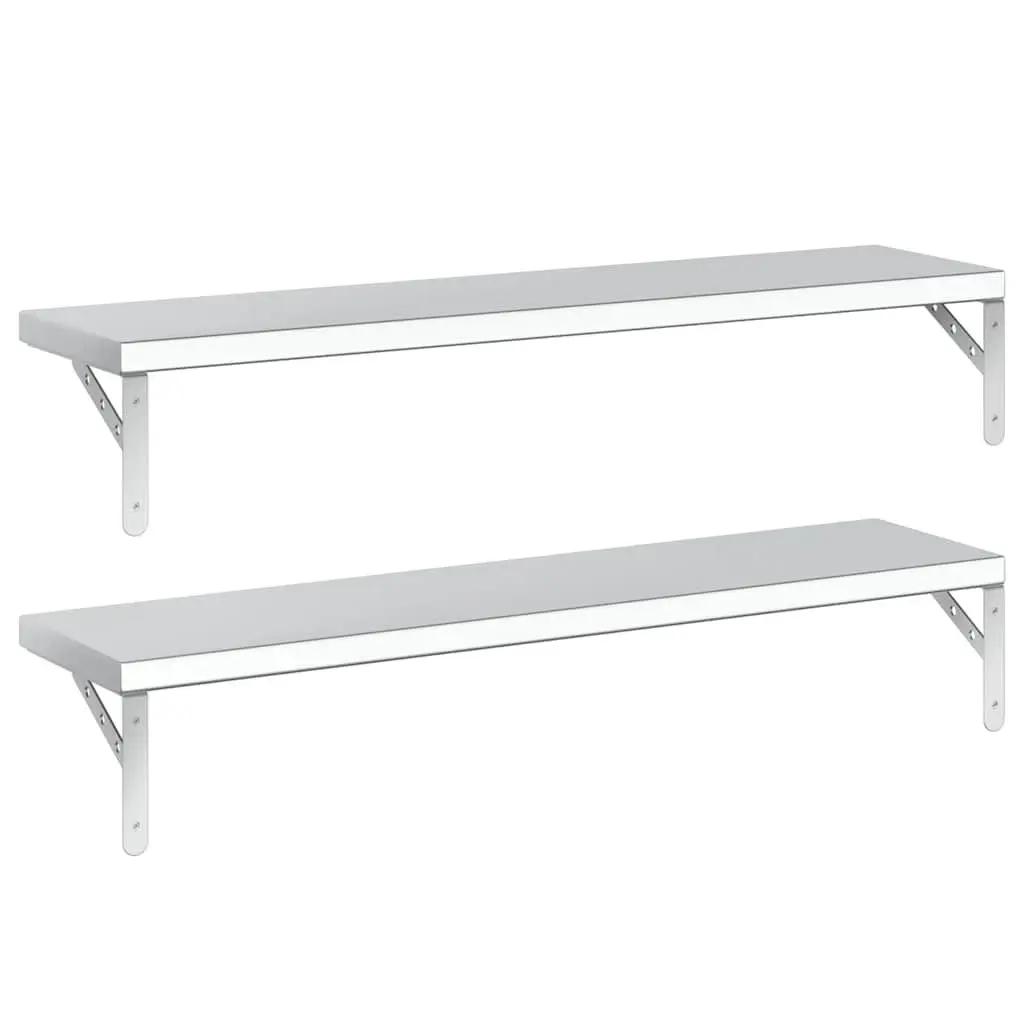 Silver Wall Shelves 2 pcs 100x23.5 cm Floating Storage