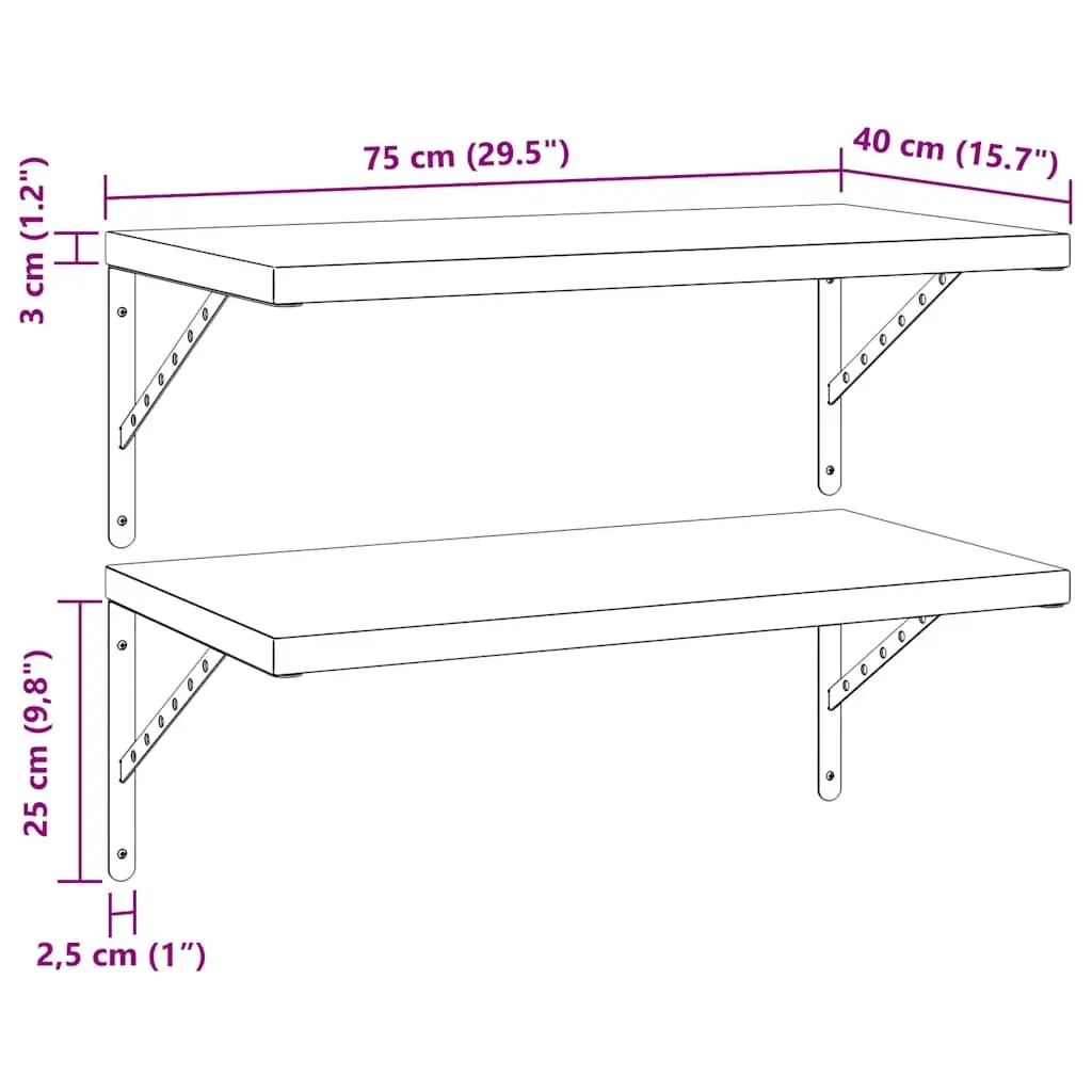 Wall Shelves Stainless Steel 75x40 cm Silver 2 Piece Floating Storage Display Rack
