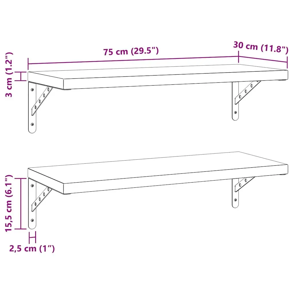 Wall Shelves Stainless Steel 75x30 cm Silver 2 Piece