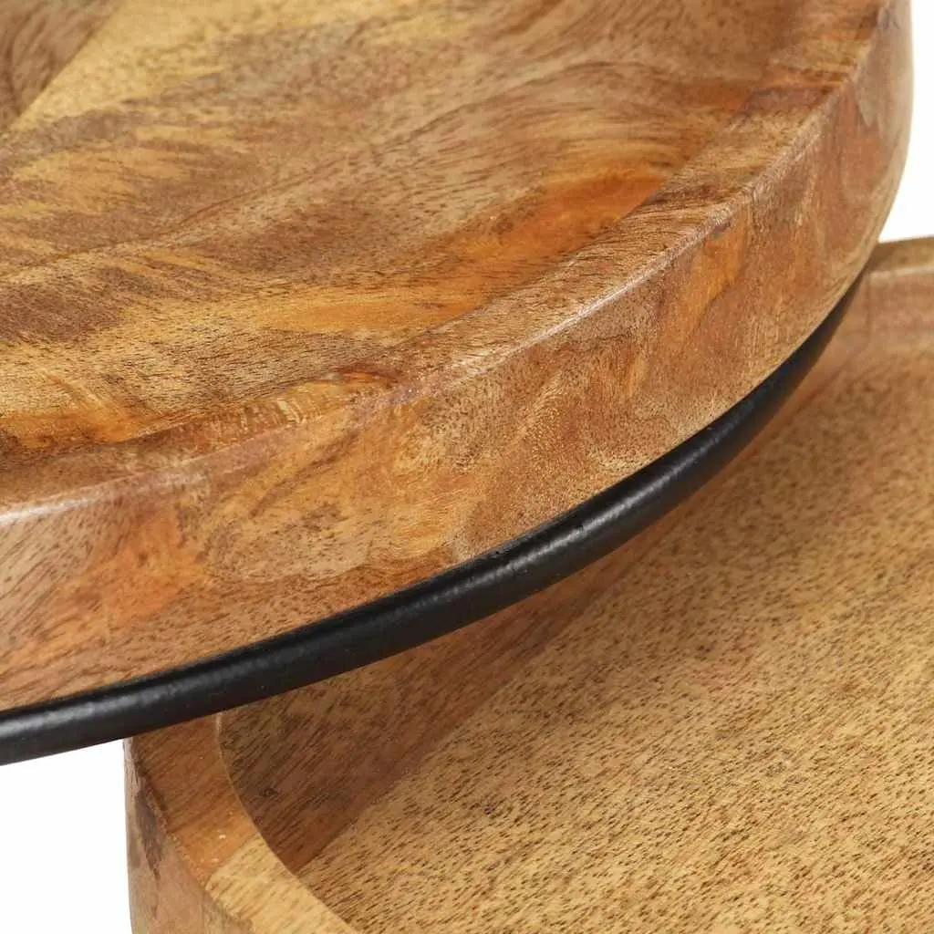2 Piece Coffee Table Set with Mango Wood Tops