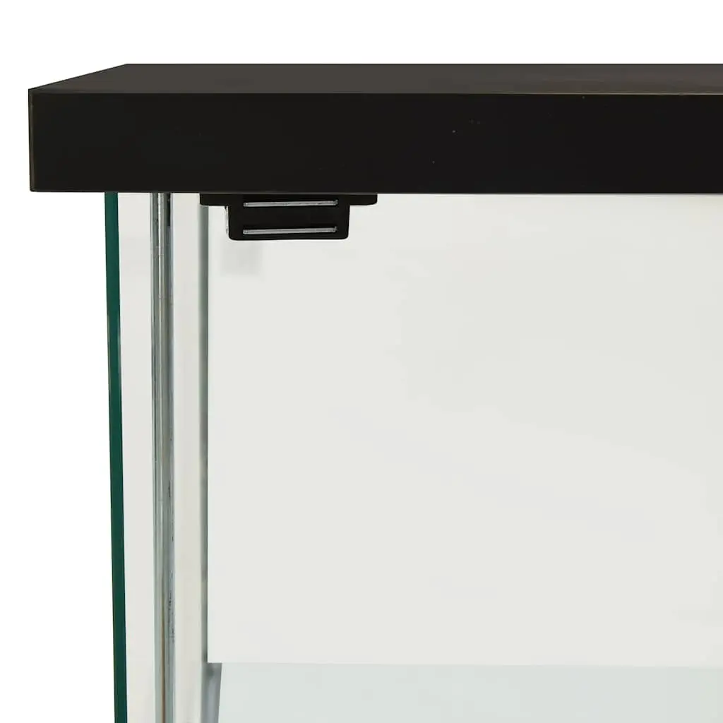 Storage Cabinet Tempered Glass Black