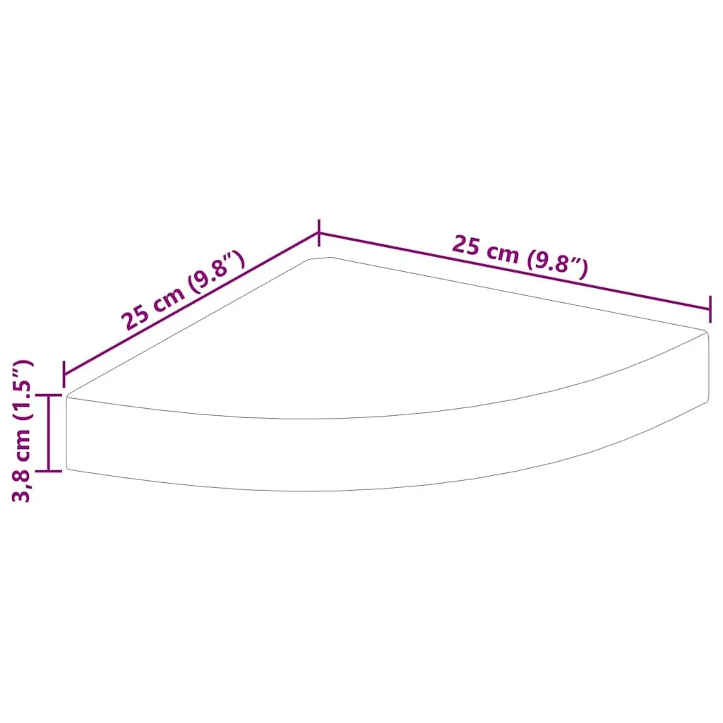 High Gloss Floating Corner Wall Shelf for Display