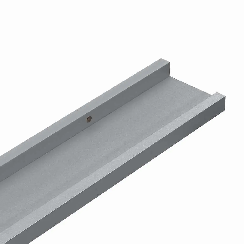 Grey Floating Shelf Set for Pictures and Decor