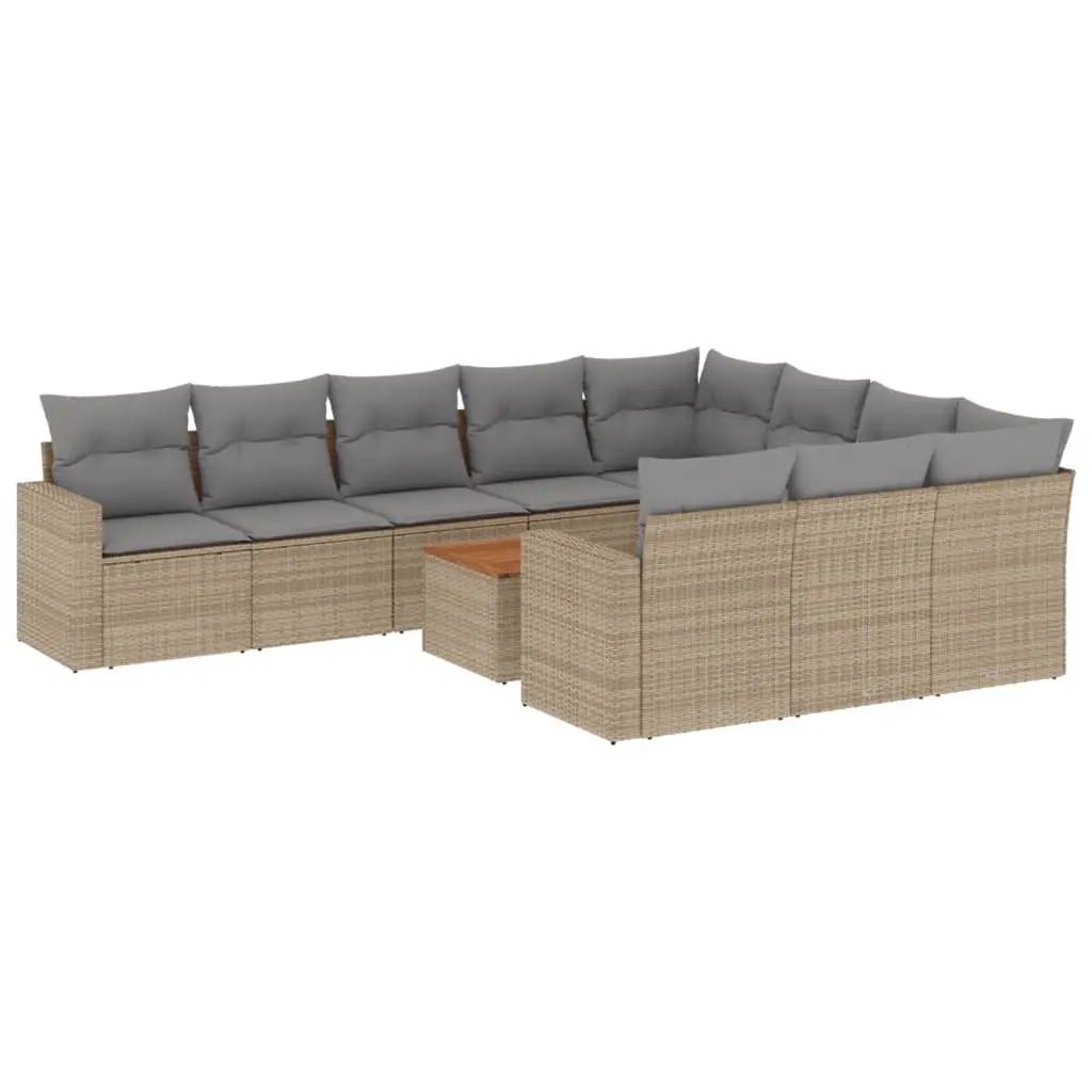 11 Piece Modular Outdoor Sofa Set with Storage