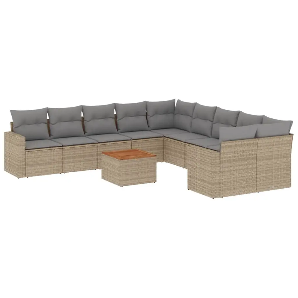 Outdoor Garden Sofa Set 11 Piece Patio Furniture Sectional with Storage