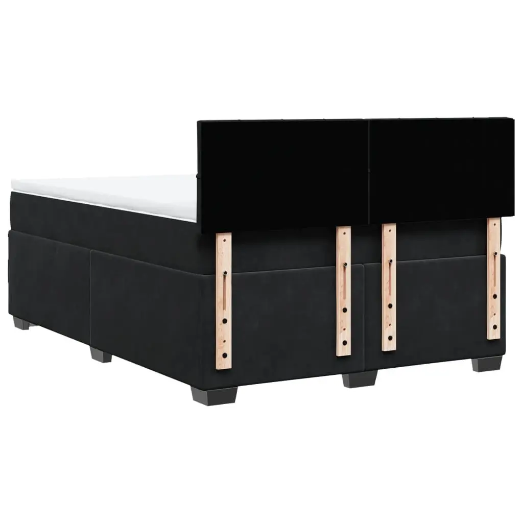 Double Box Spring Bed with Pocket Spring Mattress