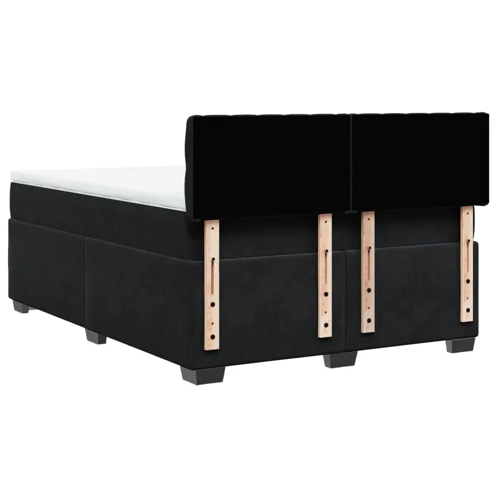 Double Box Spring Bed with Pocket Spring Mattress