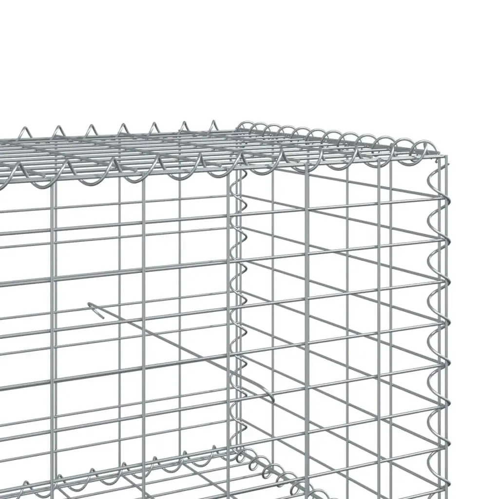 Gabion Basket Galvanised Iron Wire 800x50x50 cm Silver