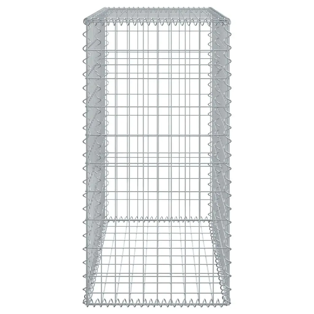 Gabion Basket Galvanised Iron 100x50x100 cm Silver Outdoor Garden Landscaping