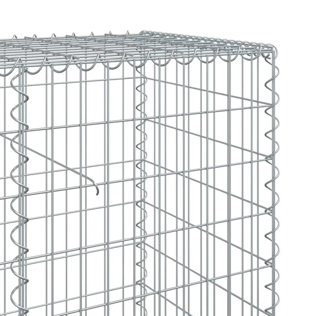 Gabion Basket Galvanised Iron 100x50x100 cm Silver Outdoor Garden Landscaping