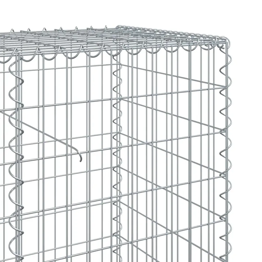 Gabion Basket Galvanised Iron Wire 1000x50x100 cm Silver
