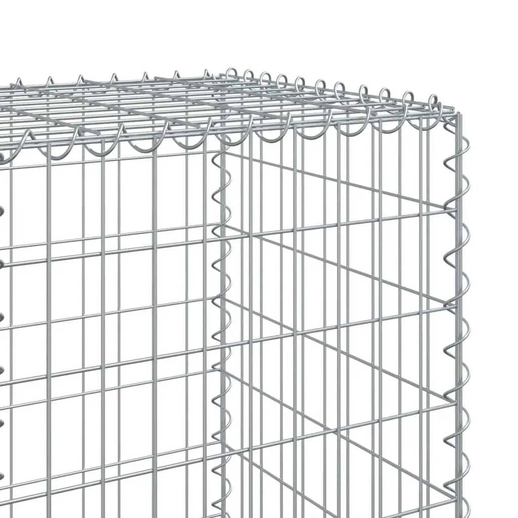 Gabion Basket Galvanised Iron Wire 100x50x150 cm Silver