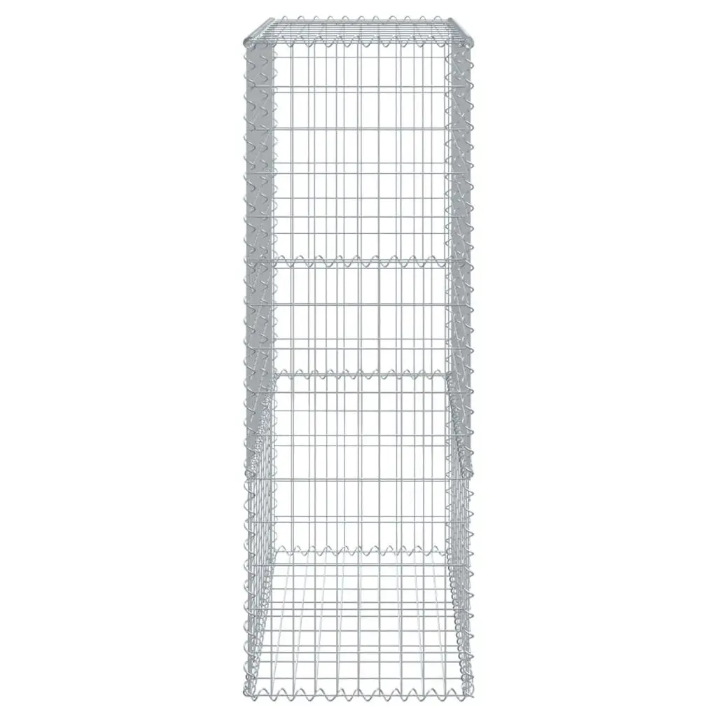 Galvanised Iron Gabion Basket with Cover 300x50x150 cm