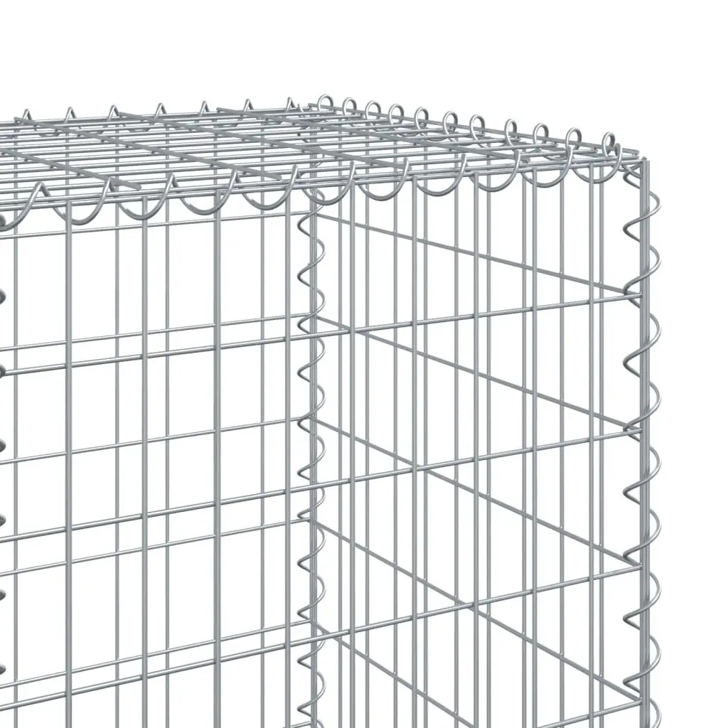 Galvanised Iron Gabion Basket with Cover 300x50x150 cm