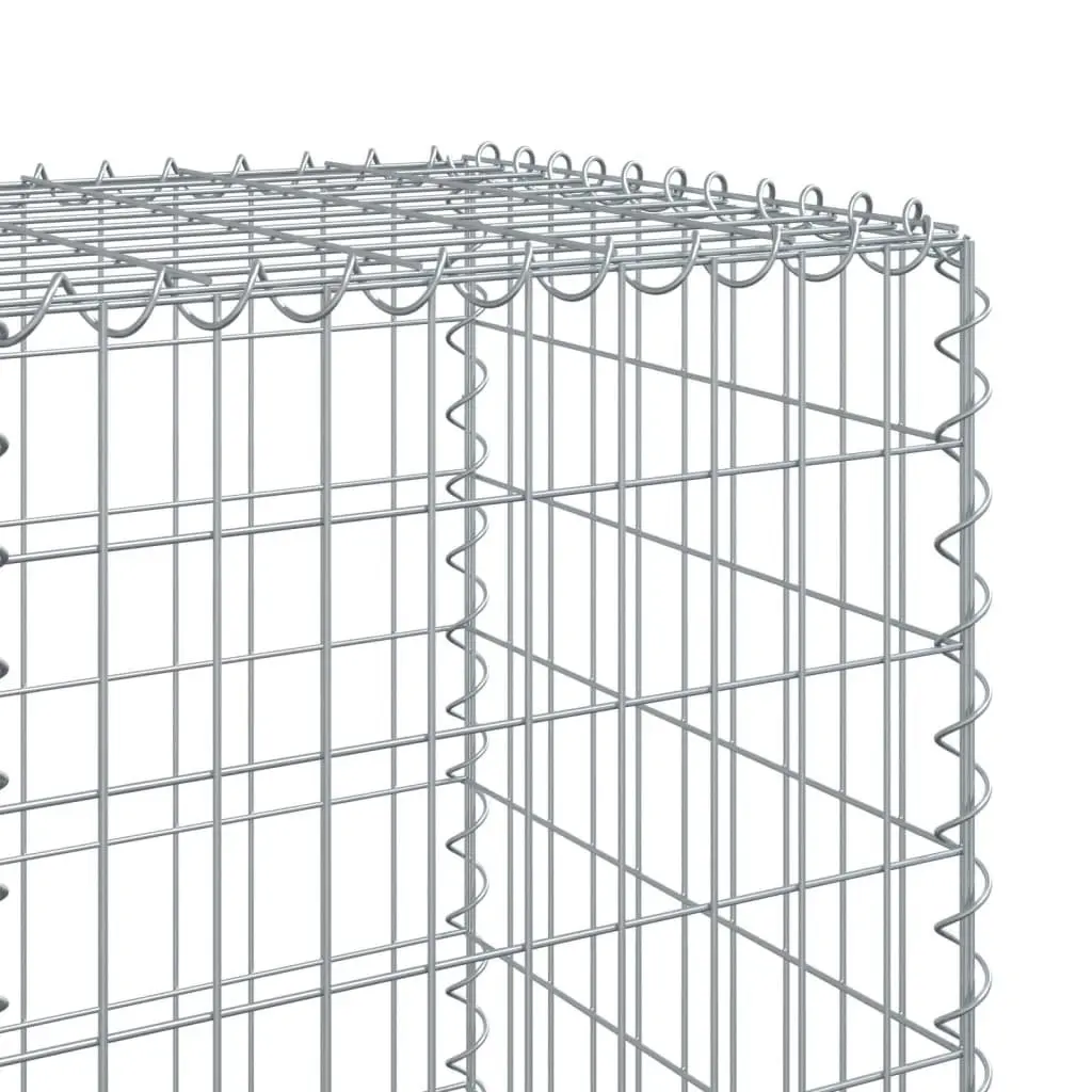 Galvanised Iron Gabion Basket 600x50x150 cm