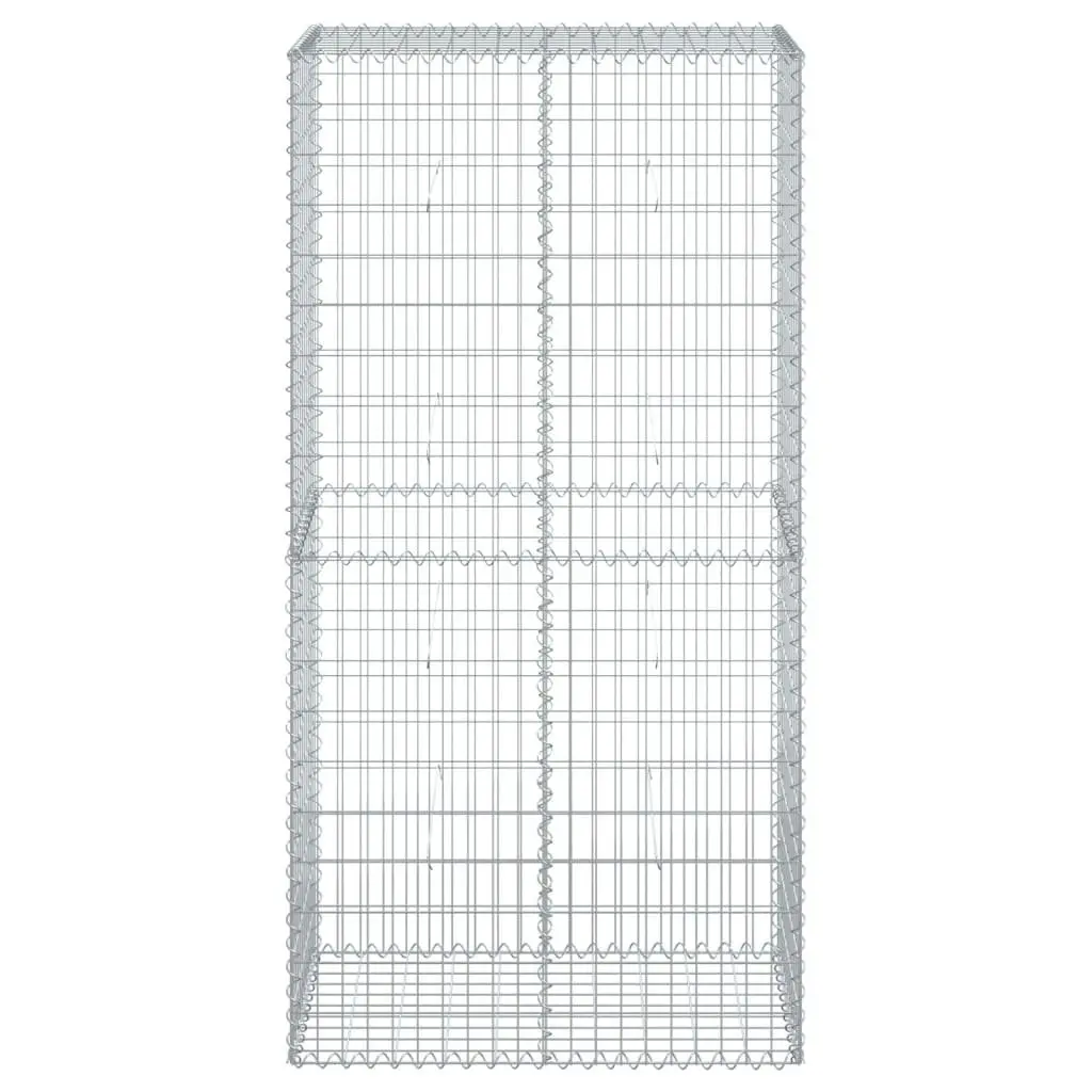 Gabion Basket Galvanised Iron Wire 100x50x200 cm Silver