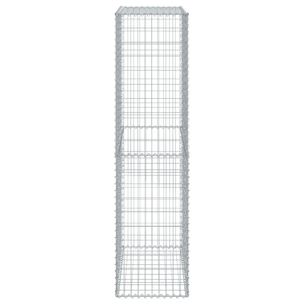 Gabion Basket Galvanised Iron Wire 100x50x200 cm Silver