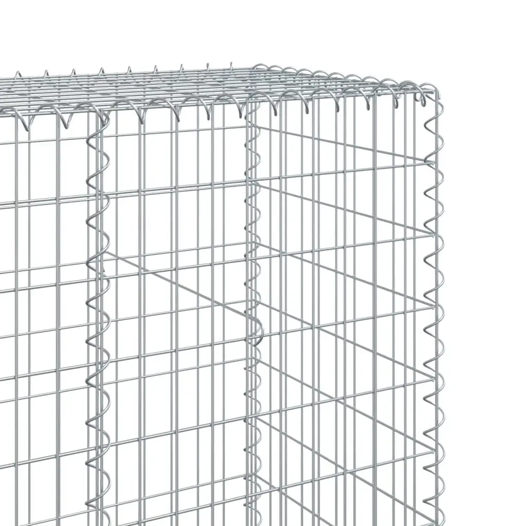 Gabion Basket Galvanised Iron Wire 100x50x200 cm Silver