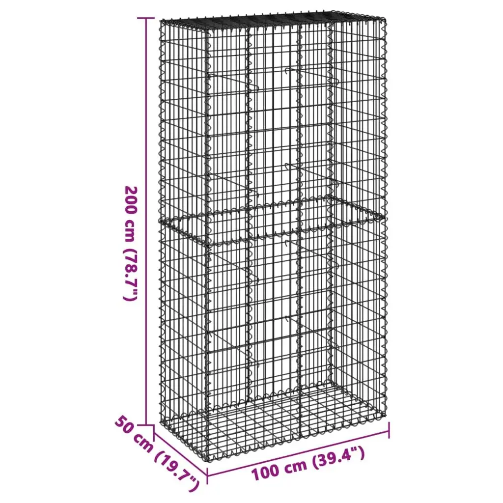 Gabion Basket Galvanised Iron Wire 100x50x200 cm Silver