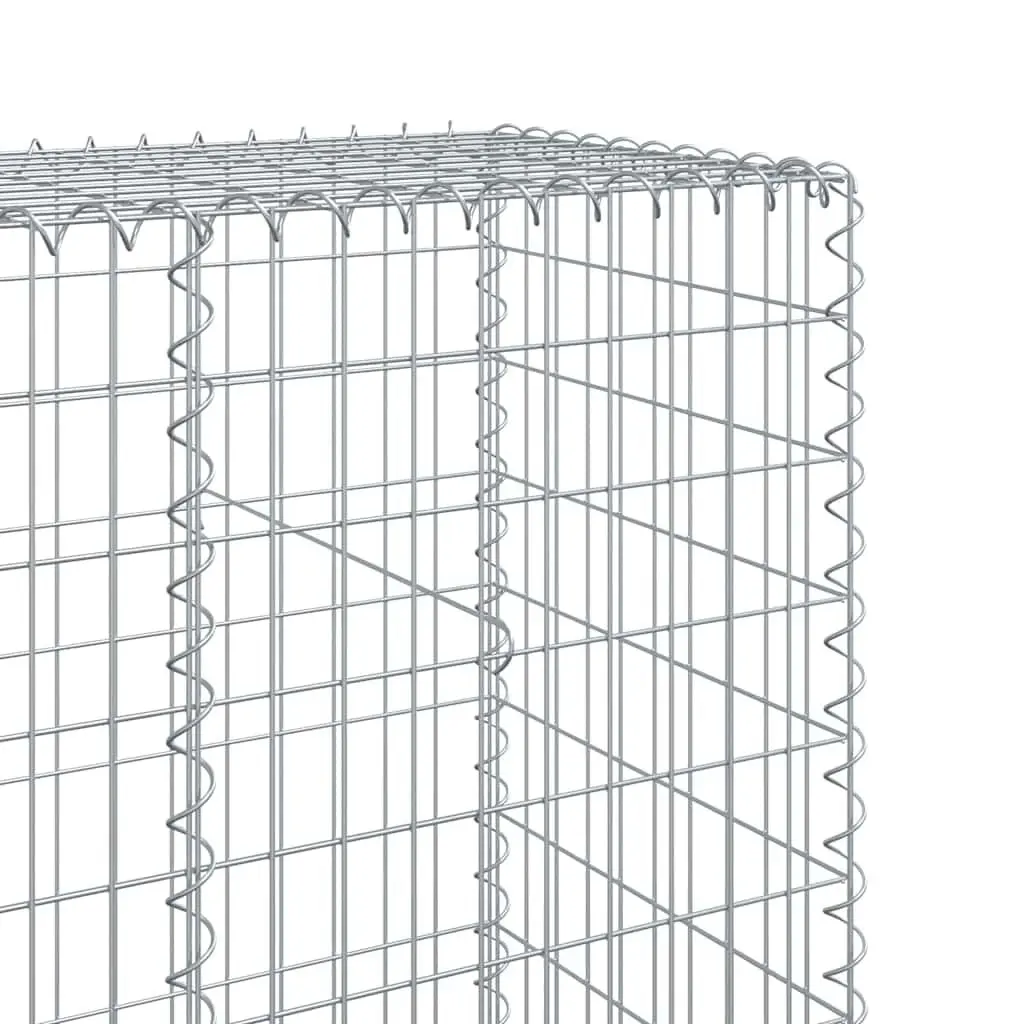 Gabion Basket Galvanised Iron 300x50x200 cm Silver