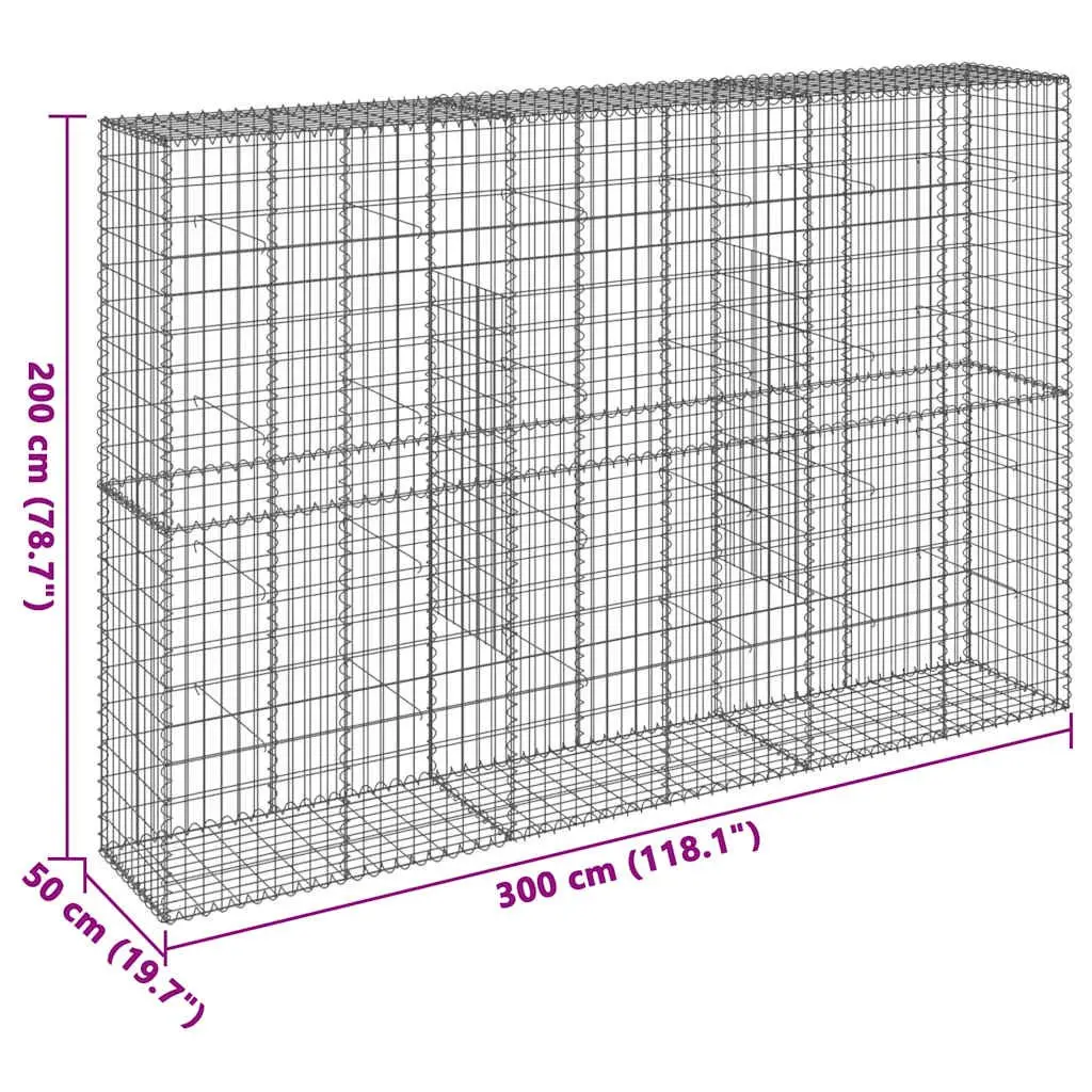 Gabion Basket Galvanised Iron 300x50x200 cm Silver