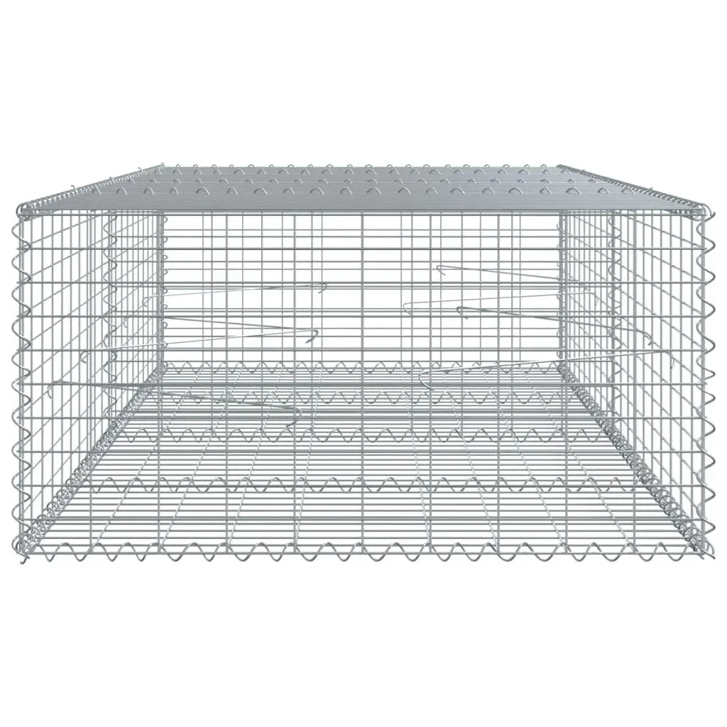 Gabion Basket Metal Wire 200x100x50 cm Silver