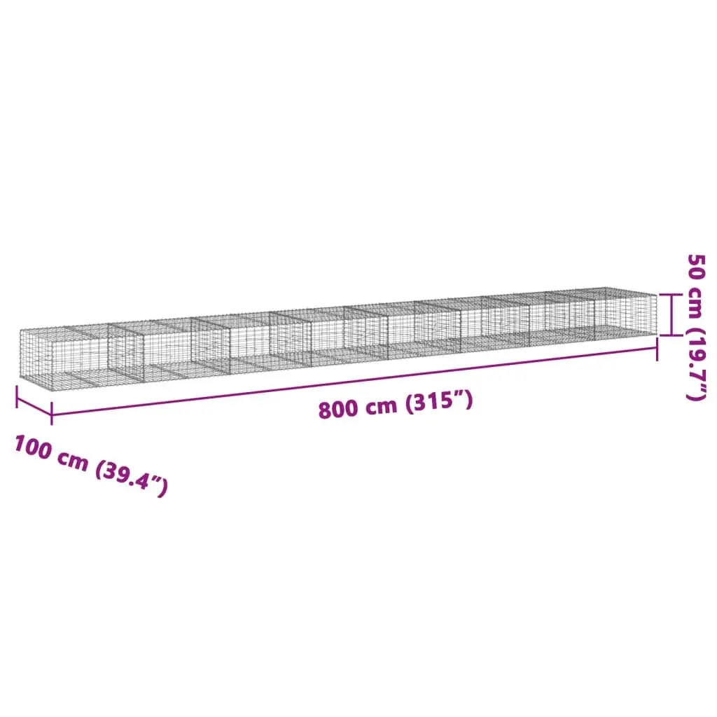 Gabion Basket Galvanised Iron Wire 800x100x50 cm Silver