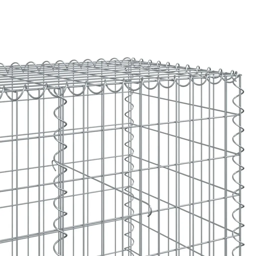 450x100x100 cm Gabion Basket with Cover for Landscaping