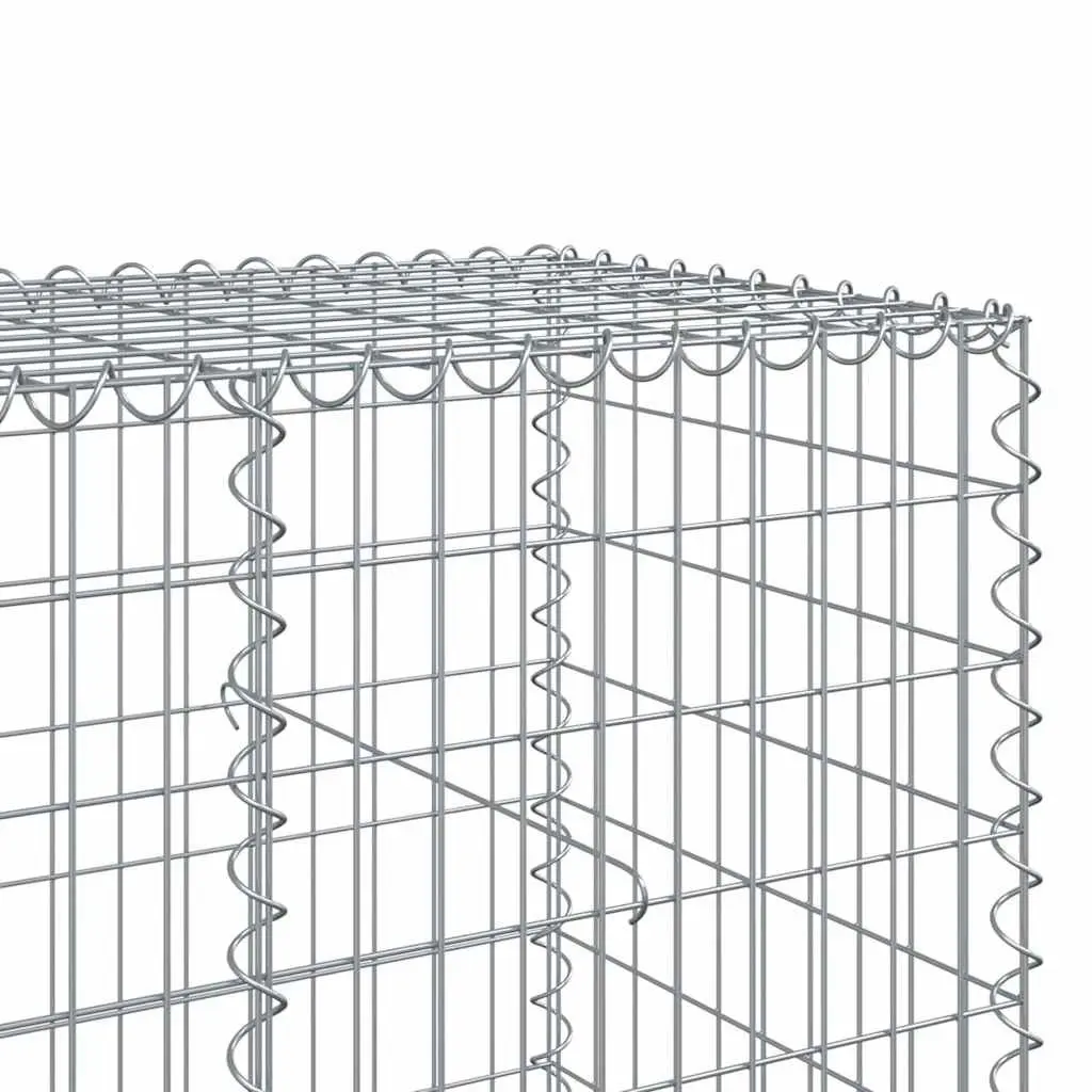 Gabion Basket Galvanised Iron Wire 850x100x100 cm Silver with Cover
