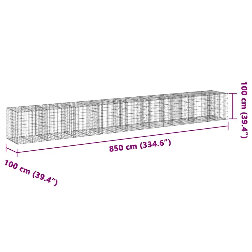 Gabion Basket Galvanised Iron Wire 850x100x100 cm Silver with Cover
