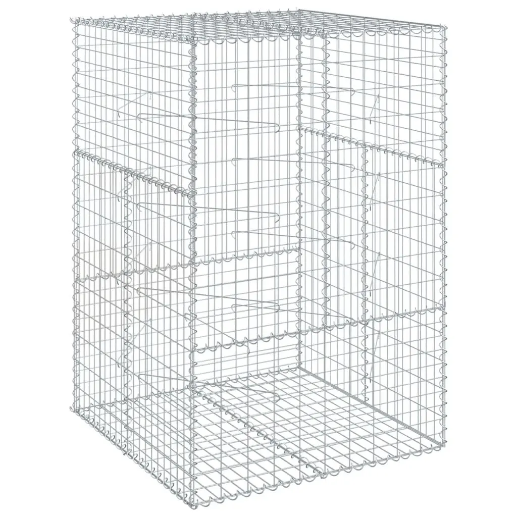 Gabion Basket 100x100x150 cm with Cover