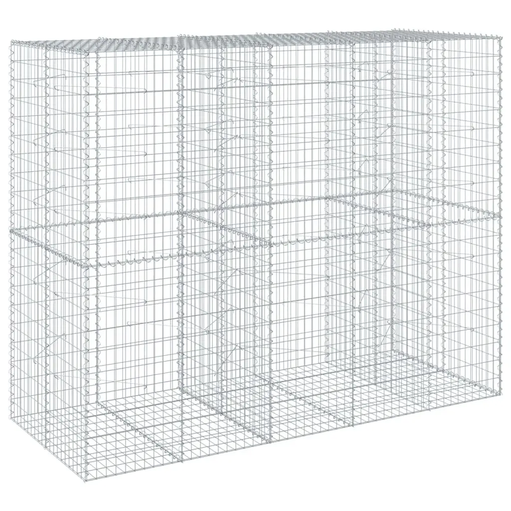 Gabion Basket Galvanised Iron Wire 250x100x200 cm Silver