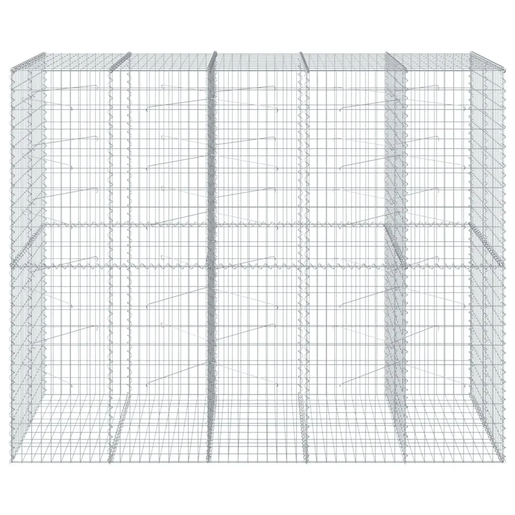 Gabion Basket Galvanised Iron Wire 250x100x200 cm Silver