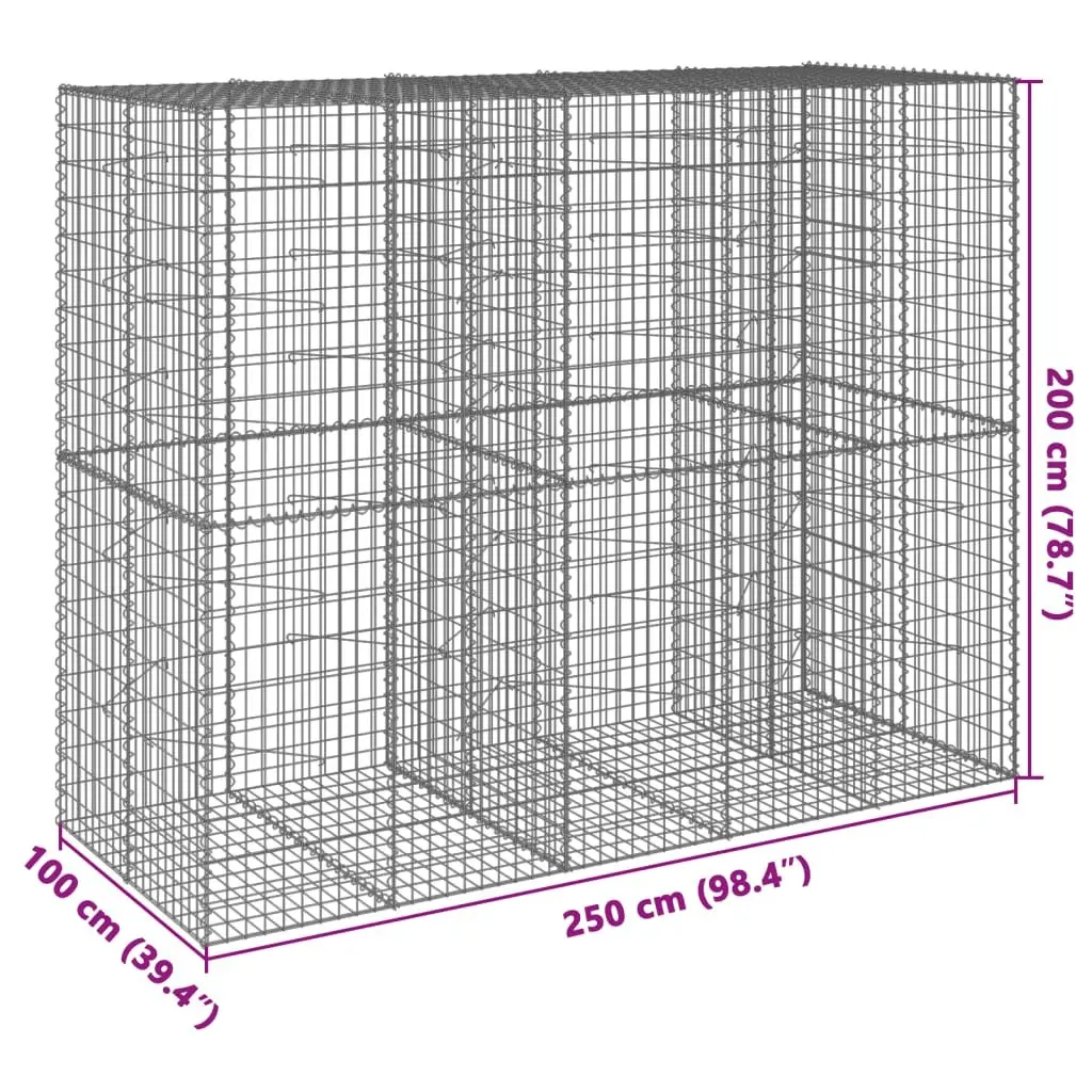 Gabion Basket Galvanised Iron Wire 250x100x200 cm Silver