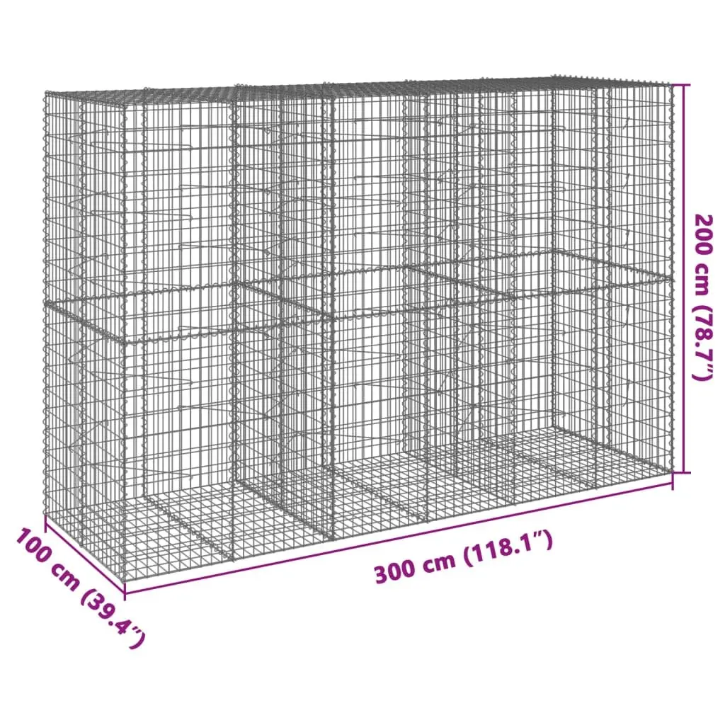 Gabion Basket Galvanised Iron Wire 300x100x200 cm Silver Garden Planter