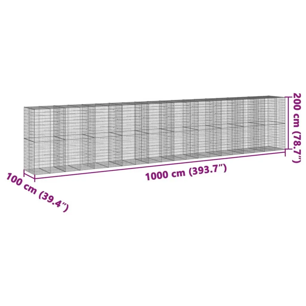 Gabion Basket Galvanised Iron Wire 1000x100x200 cm Silver