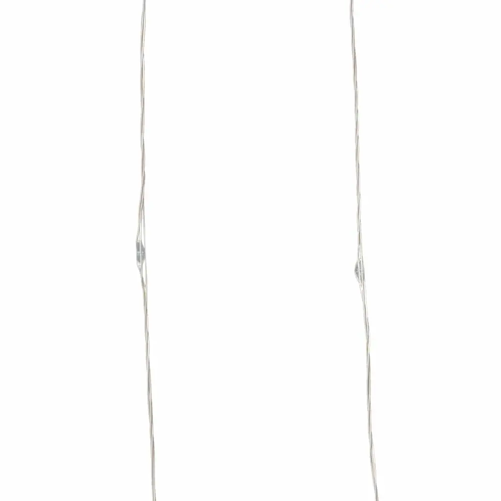 300 LED Warm White String Lights with Remote Control 30m