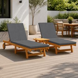 Premium Sun Lounger Reclining Chair for Two with Adjustable Features