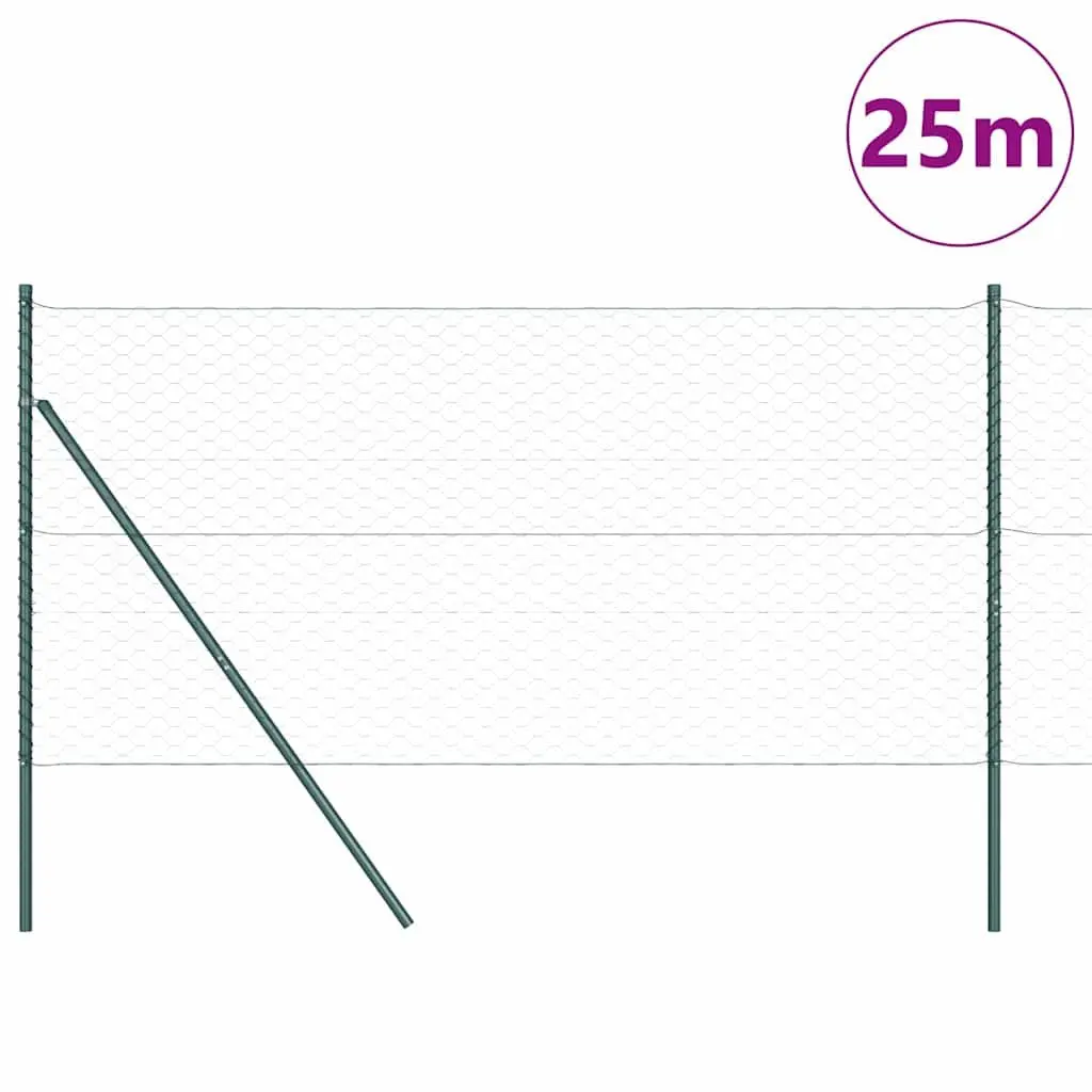 Hexagonal Fence Ground Fix 25 x 1 m Green PVC-Coated Steel