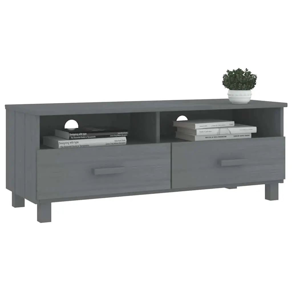 Grey Wooden TV Cabinet with Durable Sliding Drawers