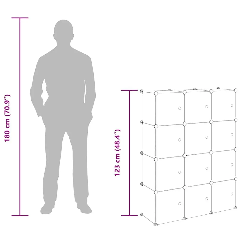 12-Cube Storage Organizer with Transparent Doors