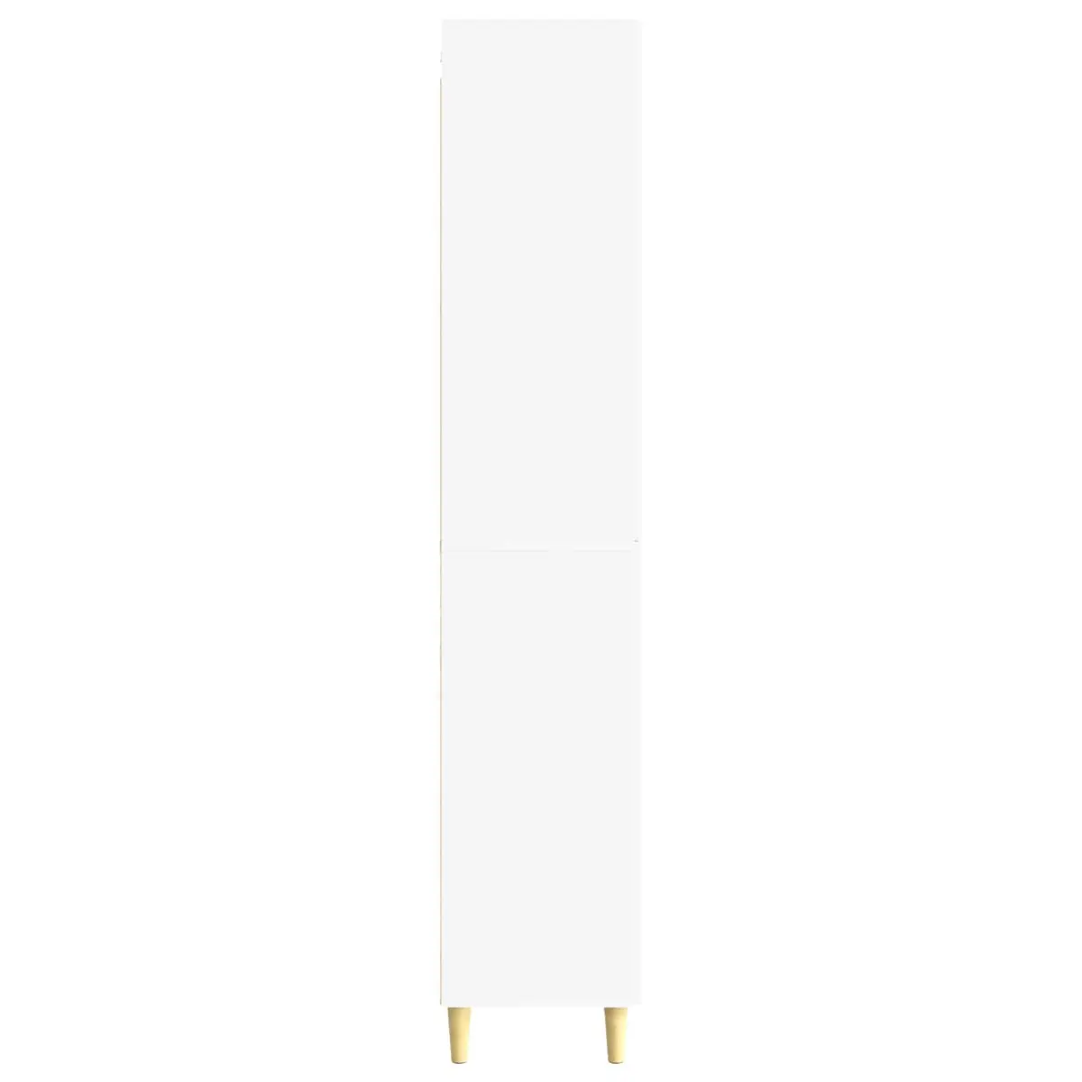 Cabinet Set of 2 for Storage Needs