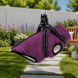 Premium Purple Dog Coat L36 with Harness Features