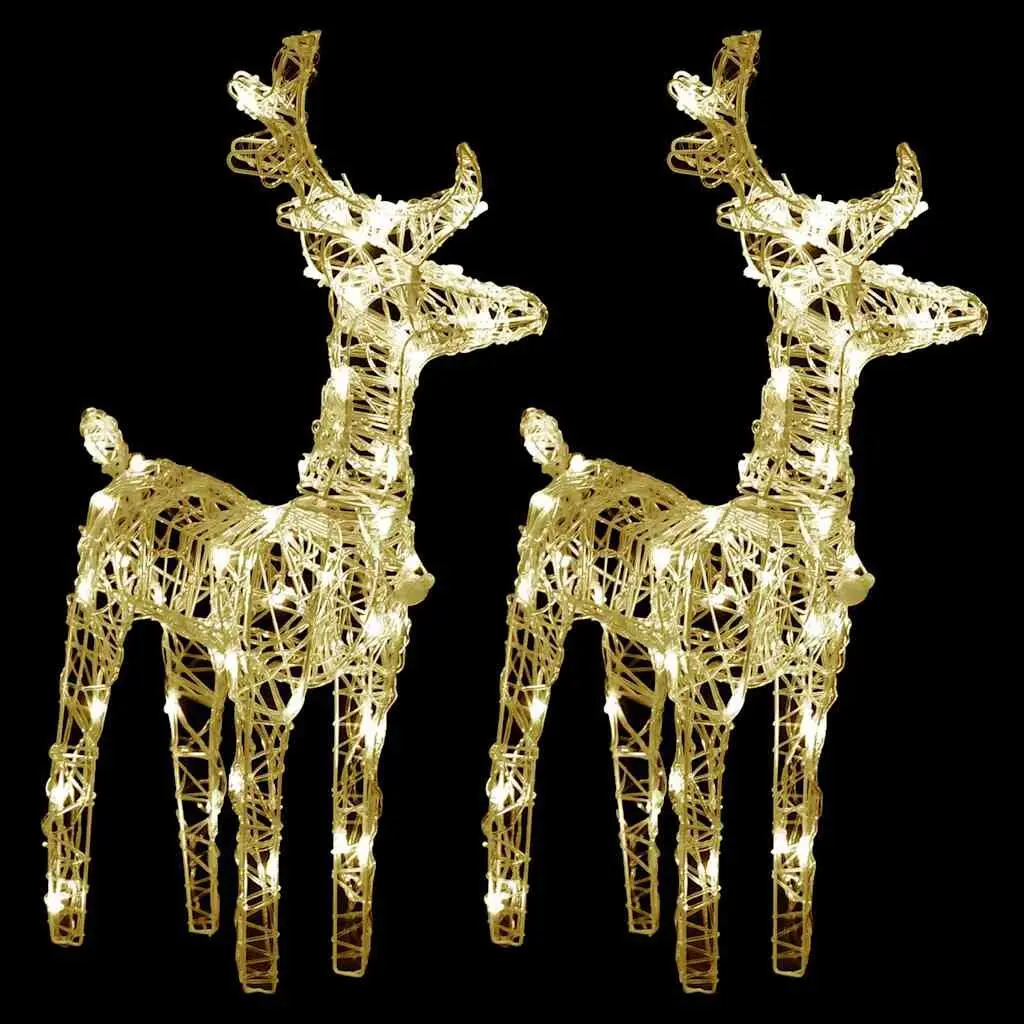 Christmas Reindeer LED Lights Acrylic 2 Piece Warm White Outdoor Yard Decoration